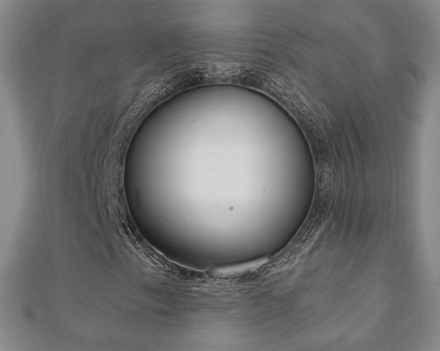 X0000110861153200906181135