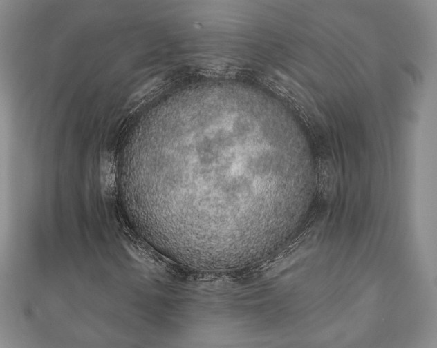 X0000110861154200906181135