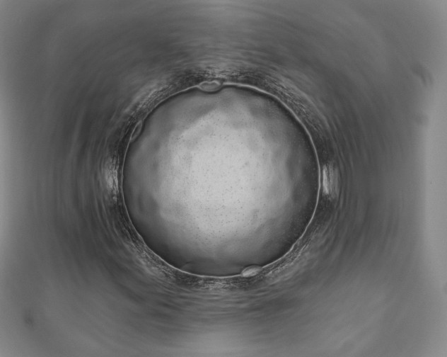 X0000110861155200906181135
