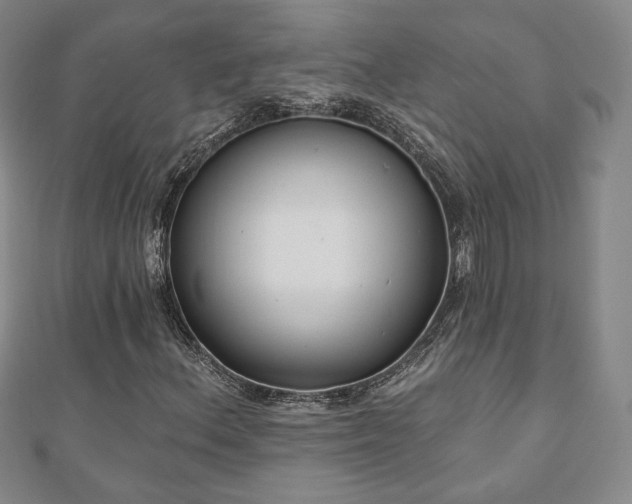 X0000110861156200906181135