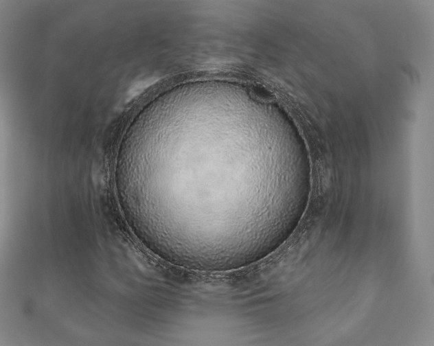 X0000110861158200906181135