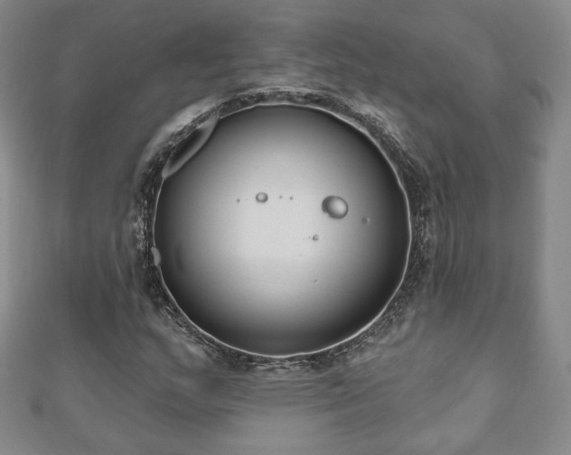 X0000110861159200906181135