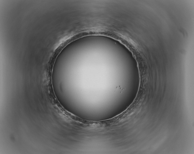 X0000110861160200906181135