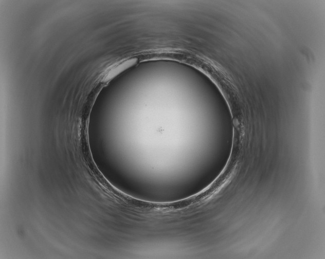 X0000110861161200906181135