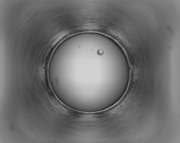 X0000110861162200906181135