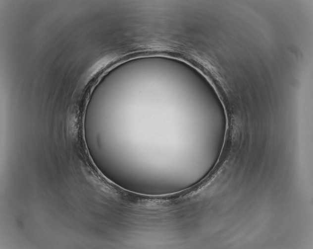X0000110861163200906181135