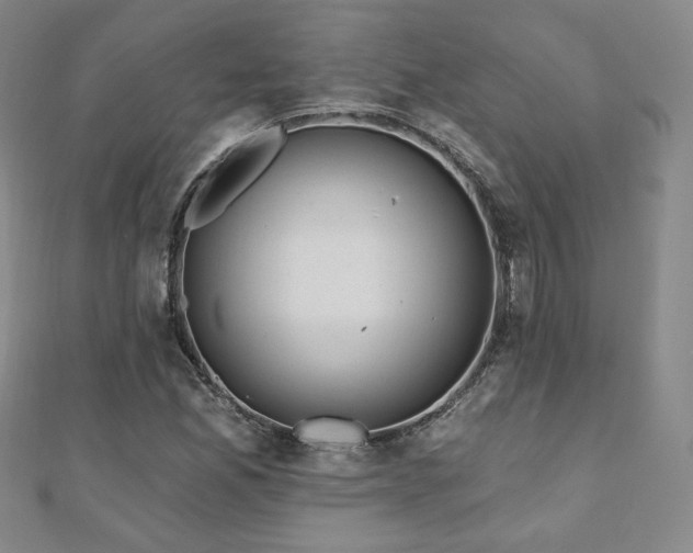 X0000110861165200906181135