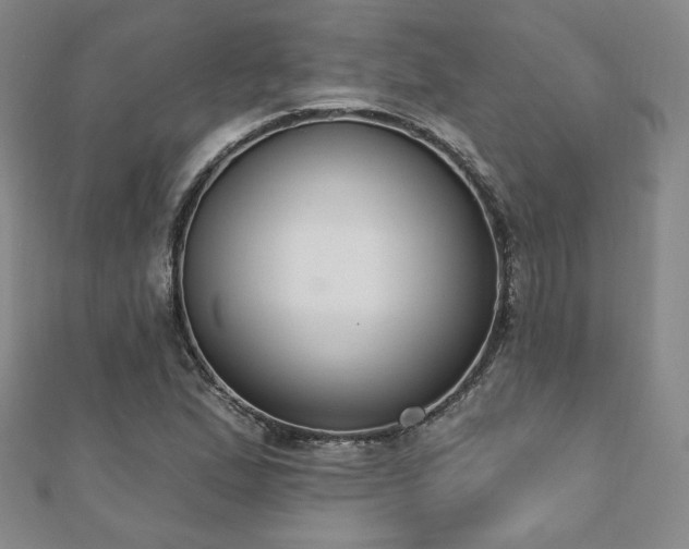 X0000110861167200906181135