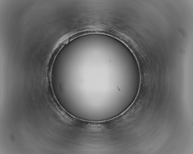 X0000110861168200906181135