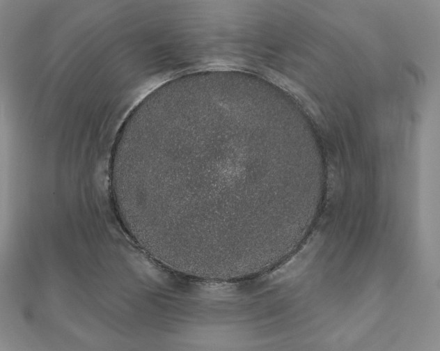 X0000110861170200906181135