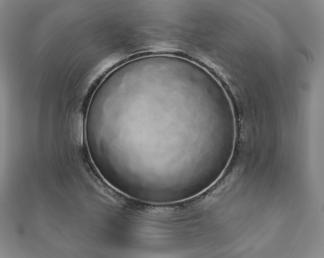 X0000110861171200906181135