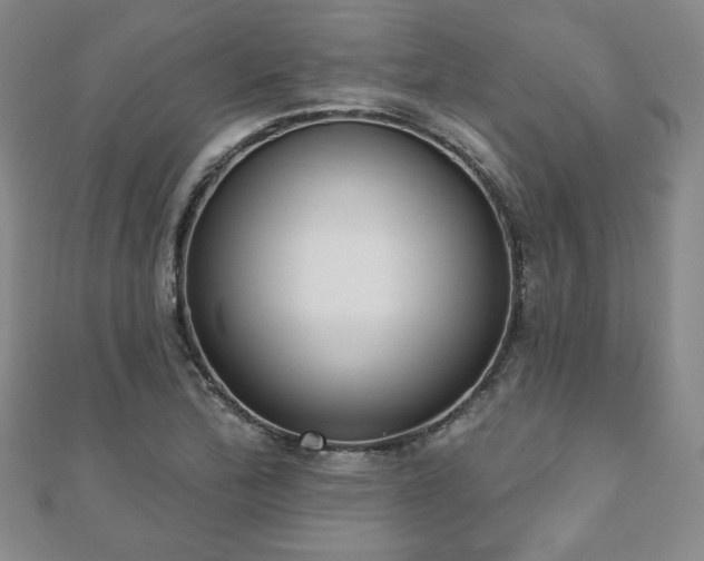 X0000110861172200906181135