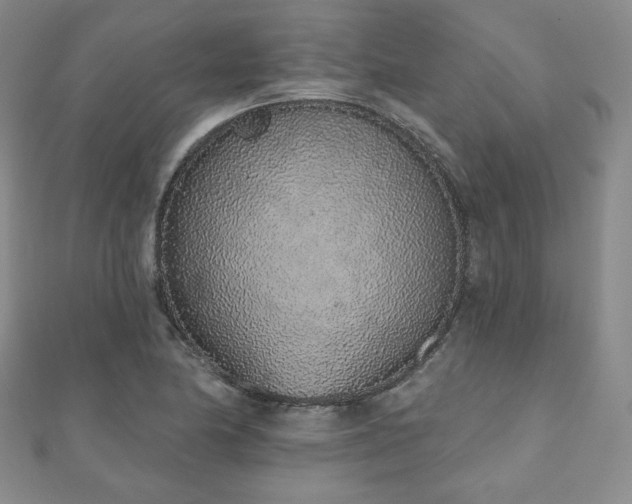 X0000110861174200906181135