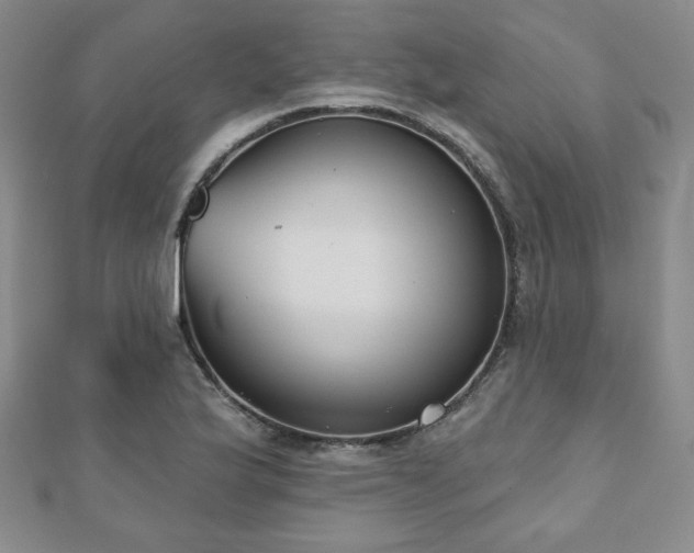X0000110861175200906181135