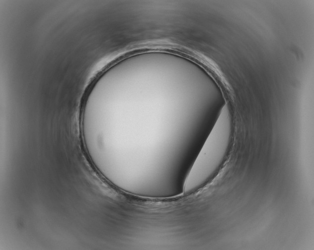 X0000110861176200906181135