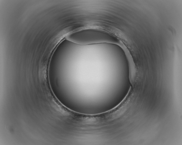 X0000110861177200906181135