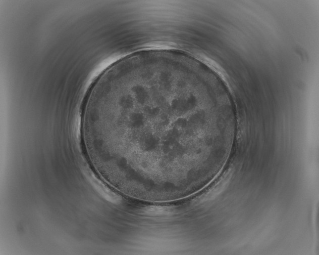 X0000110861179200906181135