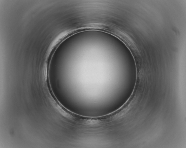 X0000110861180200906181135