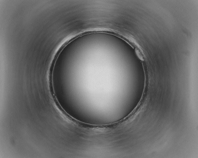 X0000110861181200906181135