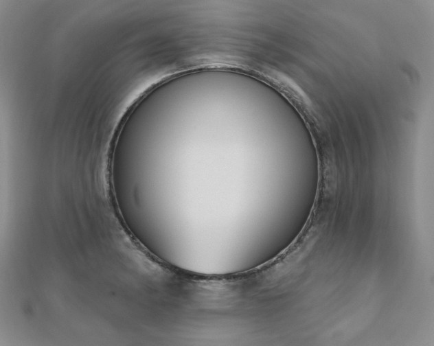 X0000110861182200906181135