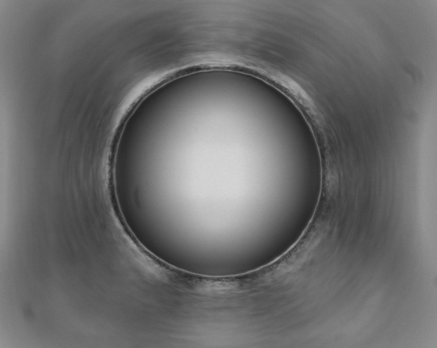 X0000110861183200906181135