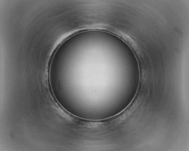 X0000110861184200906181135