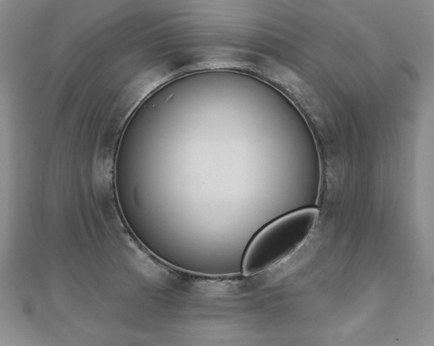 X0000110861185200906181135