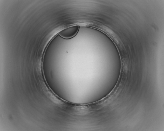 X0000110861186200906181135