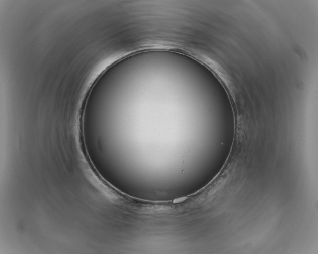 X0000110861187200906181135