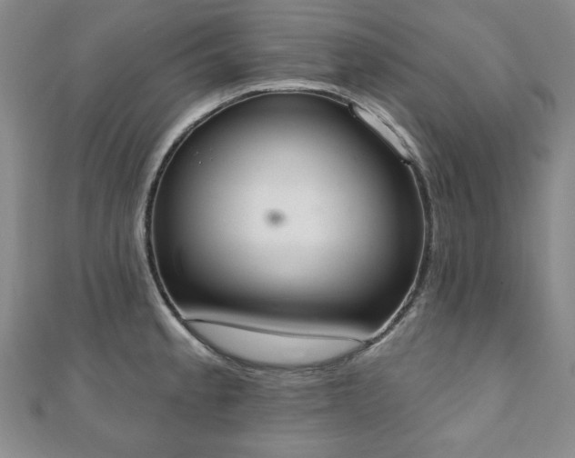 X0000110861189200906181135