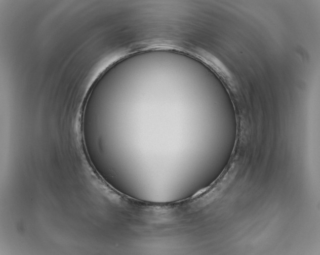 X0000110861190200906181135