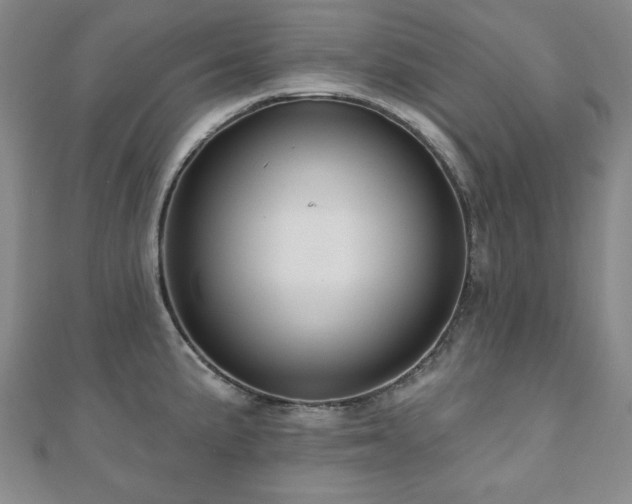 X0000110861191200906181135
