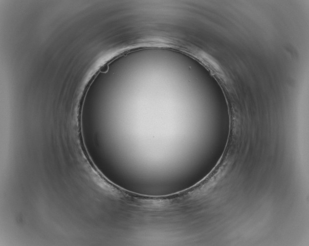 X0000110861192200906181135