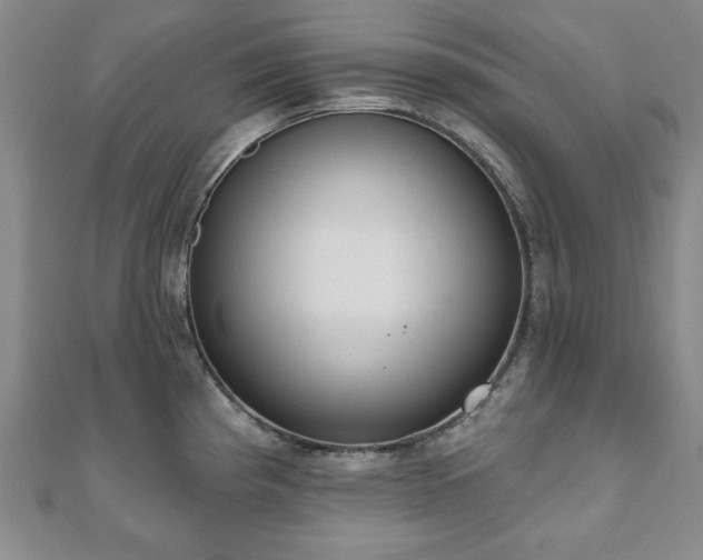 X0000110861193200906181135