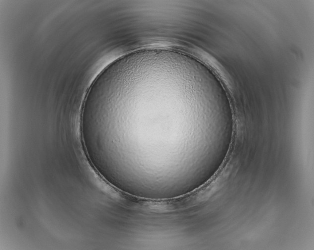 X0000110861194200906181135