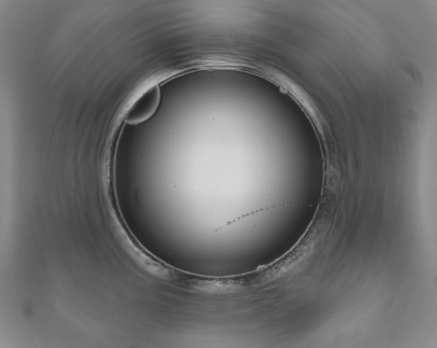 X0000110861195200906181135