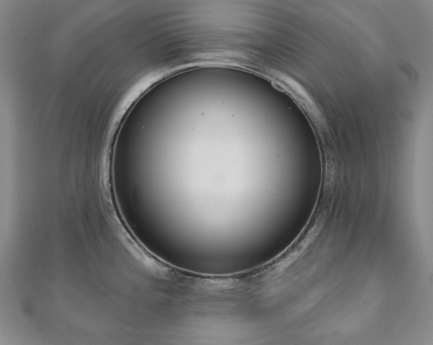 X0000110861196200906181135