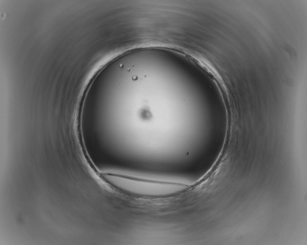 X0000110861197200906181135