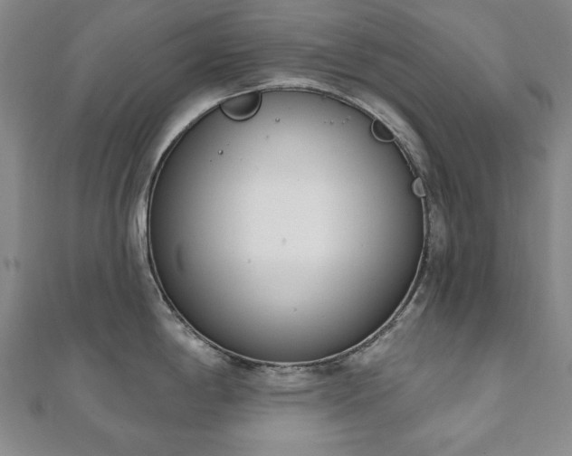 X0000110861198200906181135