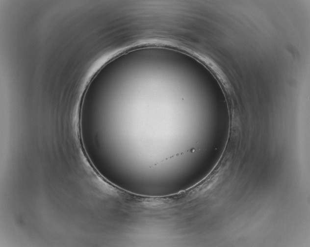 X0000110861199200906181135