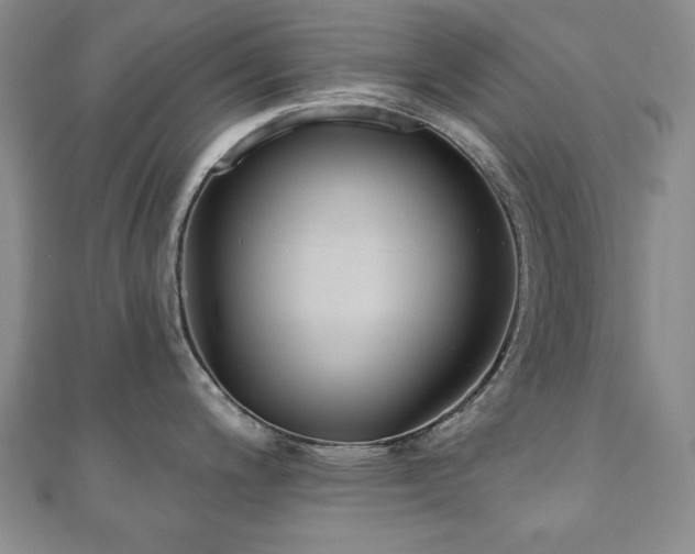 X0000110861200200906181135