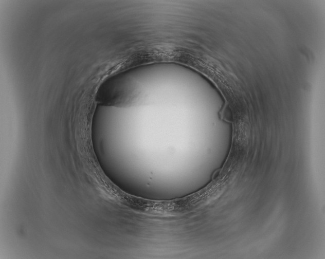 X0000110861201200906181134
