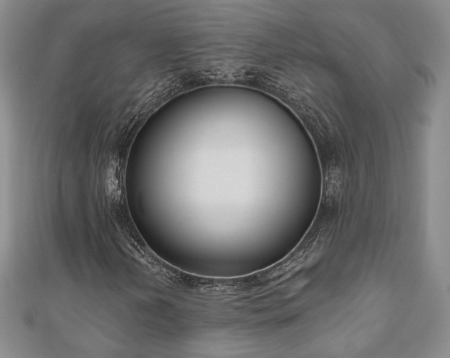 X0000110861202200906181134