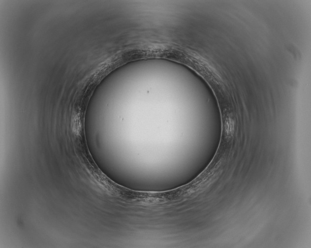 X0000110861204200906181134
