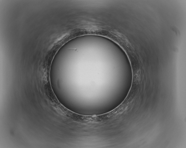 X0000110861205200906181134