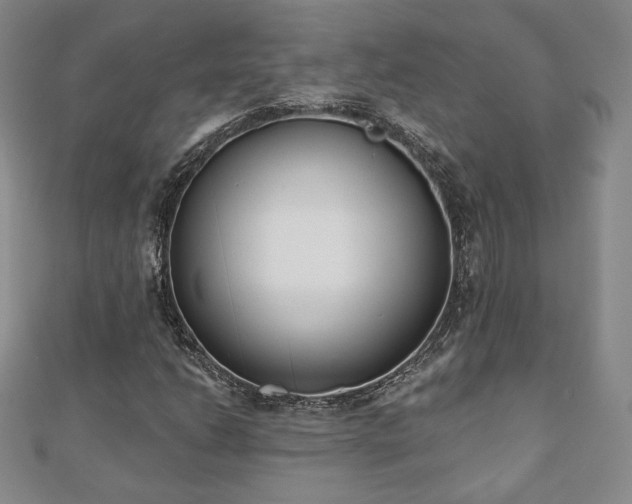 X0000110861206200906181134