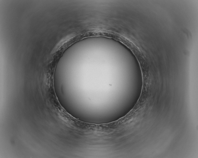 X0000110861207200906181134