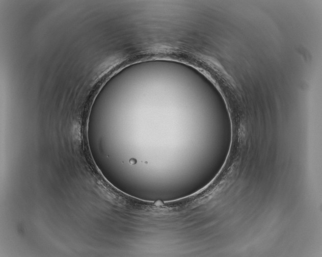 X0000110861209200906181134