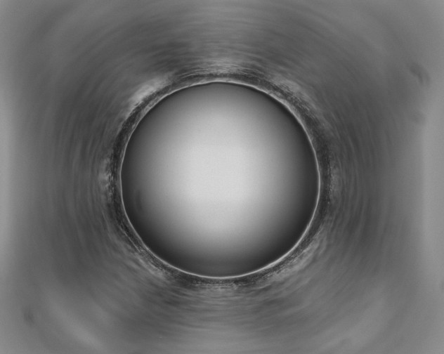 X0000110861210200906181134
