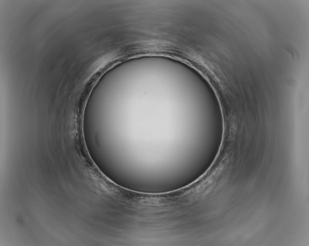 X0000110861211200906181134